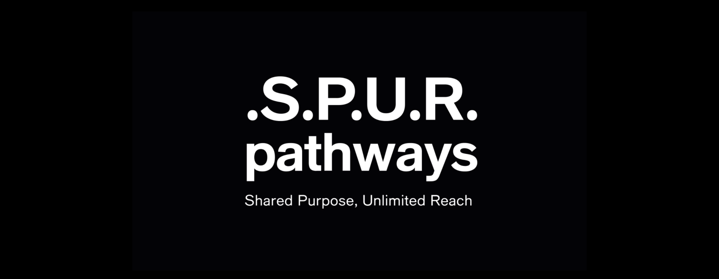 Purpose - Diversity, Equity &amp; Inclusion - S.P.U.R. Pathways 
