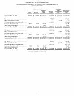 - Consolidated Statements of Common Stockholders' Equity