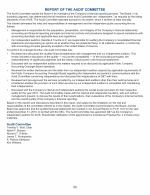 Report of the Audit Committee