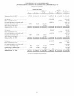 - Consolidated Statements of Common Stockholders' Equity