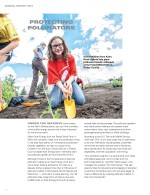 Protecting Pollinators