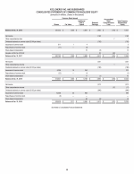 - Consolidated Statements of Common Stockholders' Equity