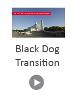 Video - Black Dog Transition