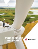 Click here to view Xcel Energy Inc. 2019 Annual Report