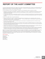 Report of the Audit Committee