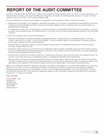 Report of the Audit Committee