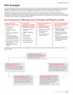 Risk Oversight