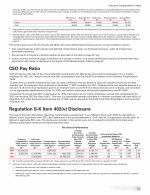 - CEO Pay Ratio