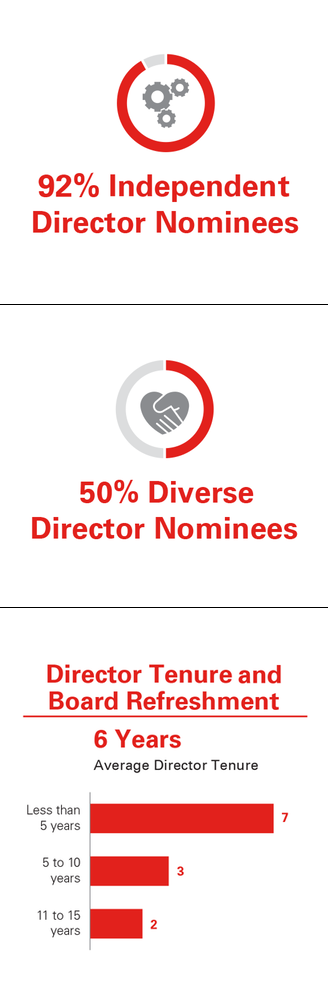 Director Nominee Stats