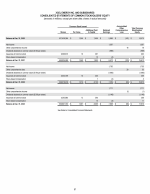 - Consolidated Statements of Common Stockholders' Equity