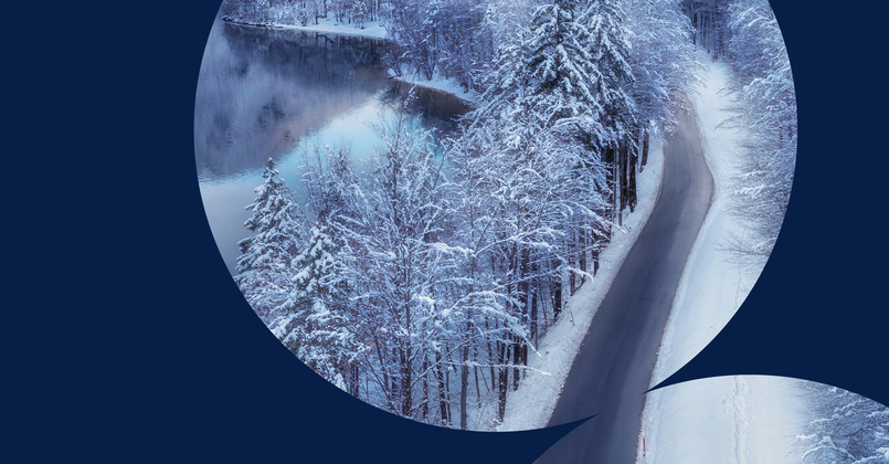 green trees and nature