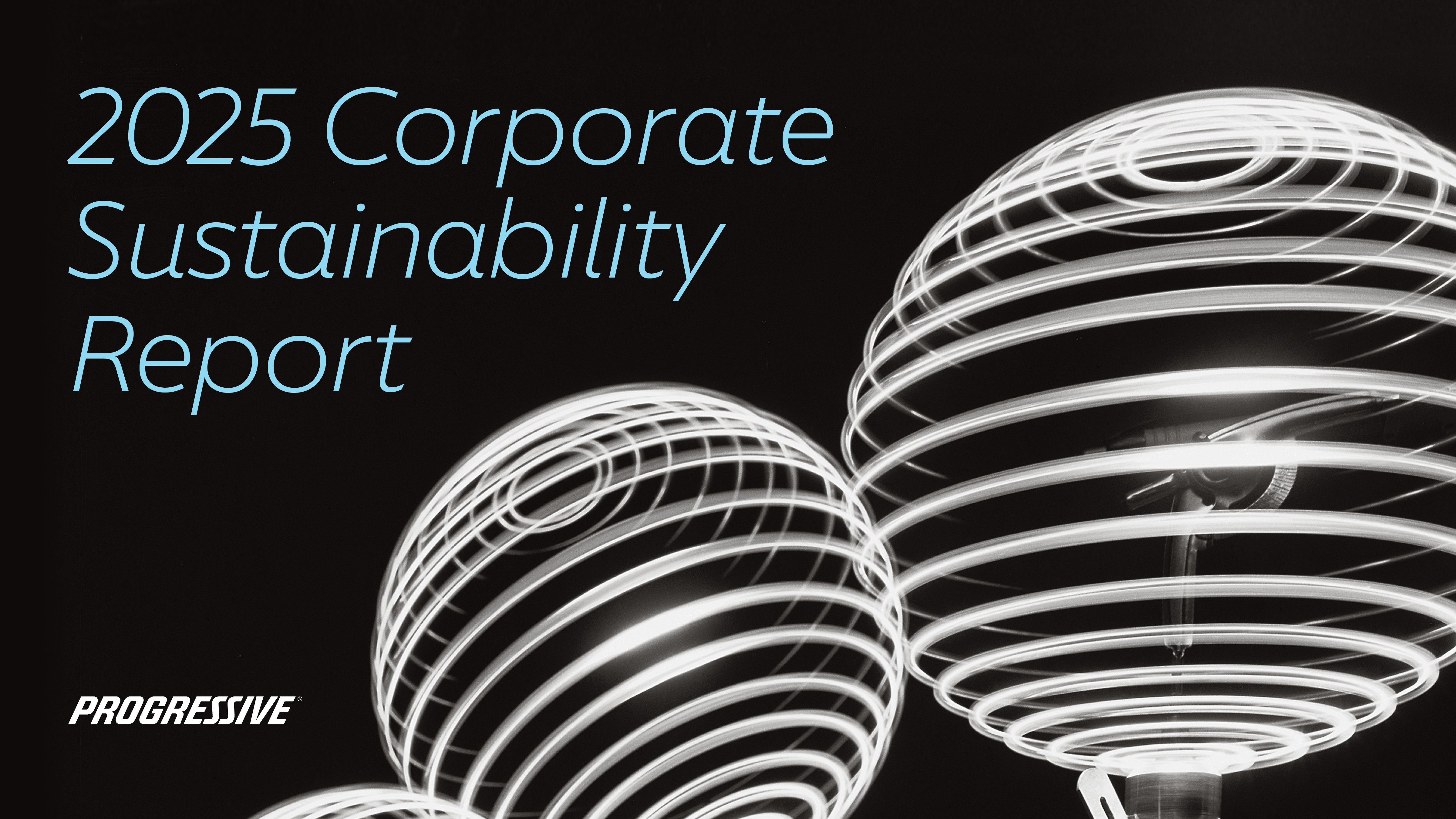 Image cover for 2025 Corporate Sustainability Report
