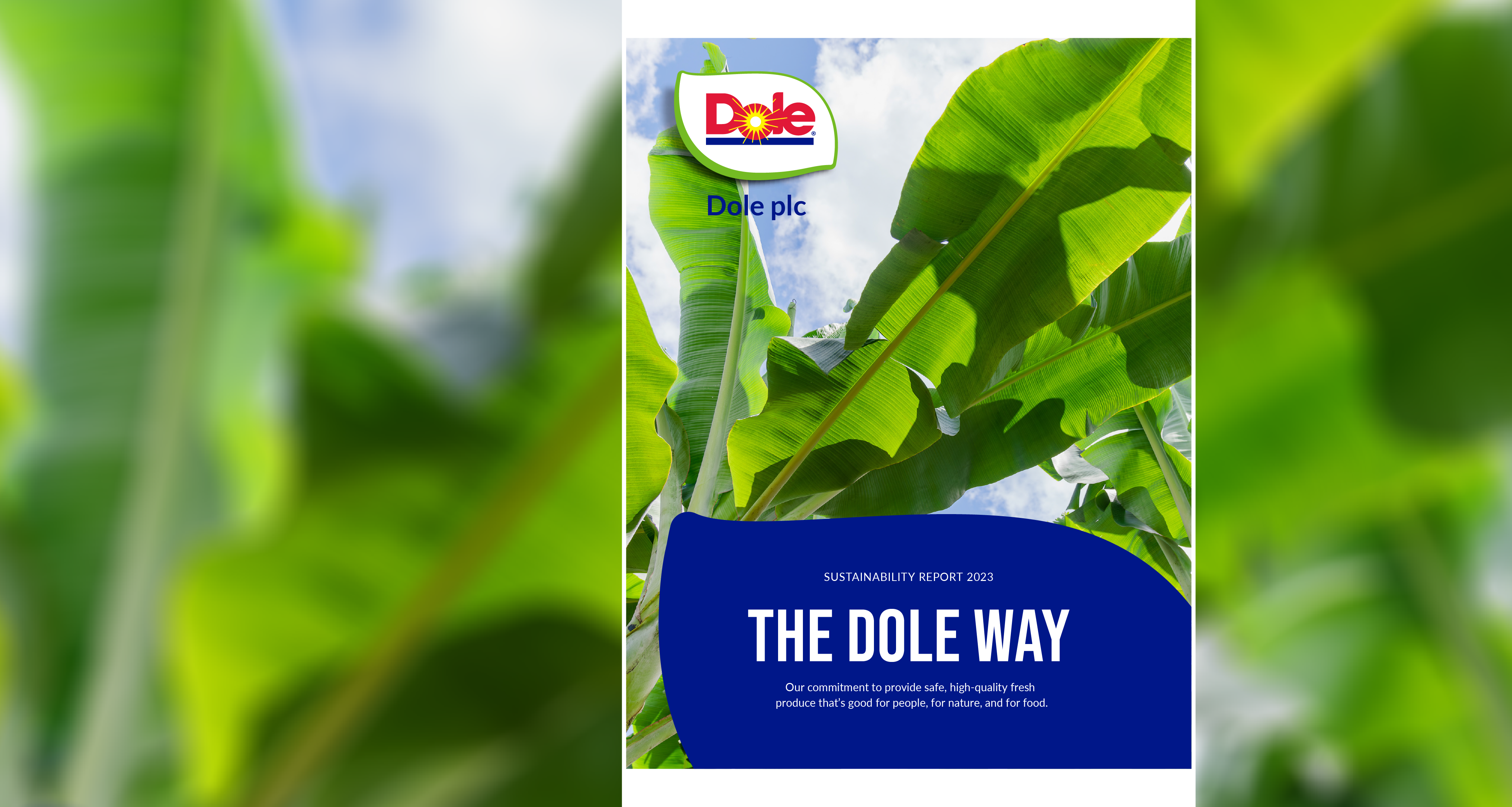 Sustainability Report Thumbnail