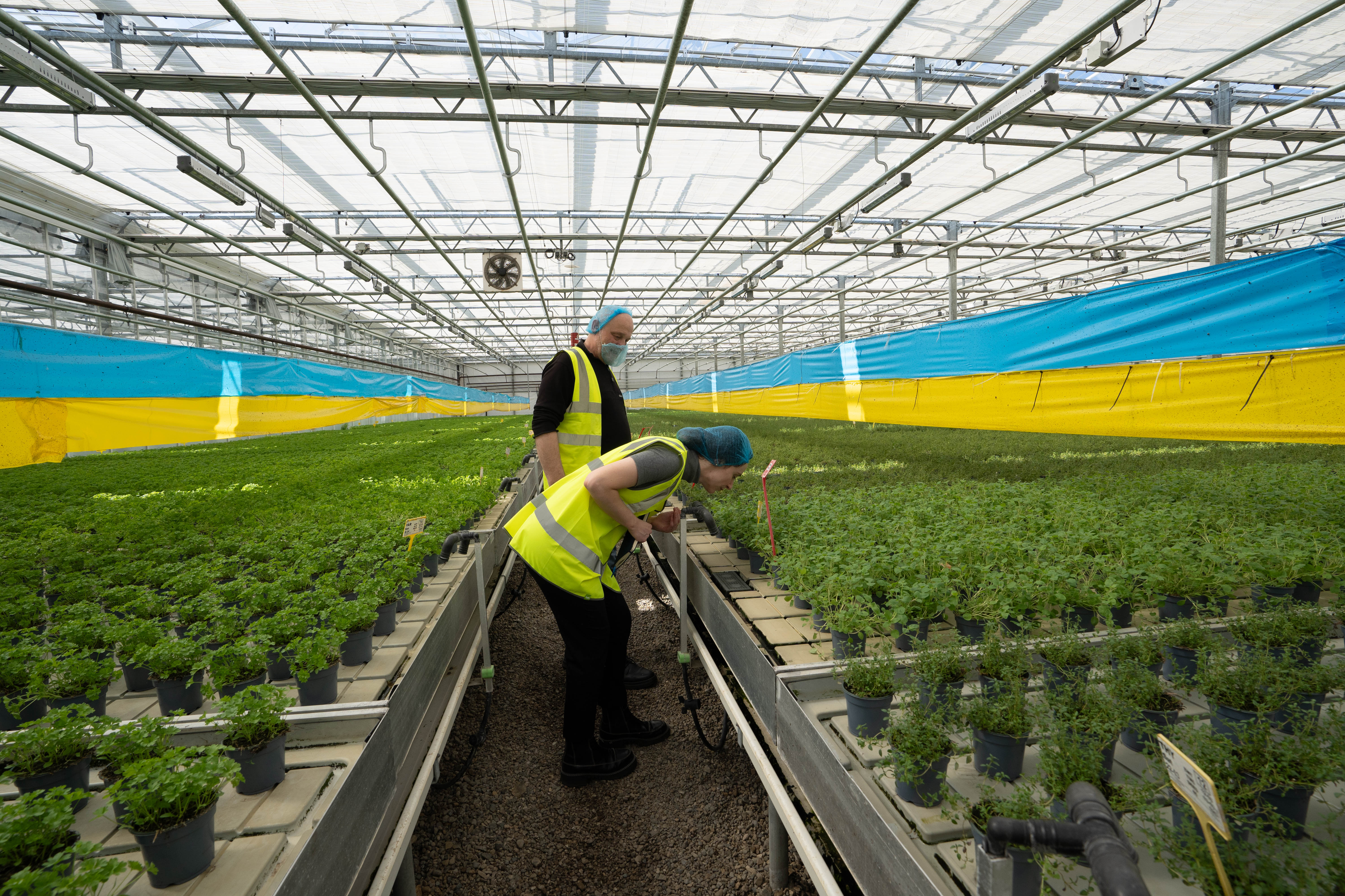 sustainability report image