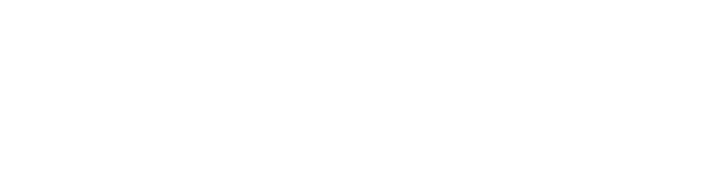 logo THS