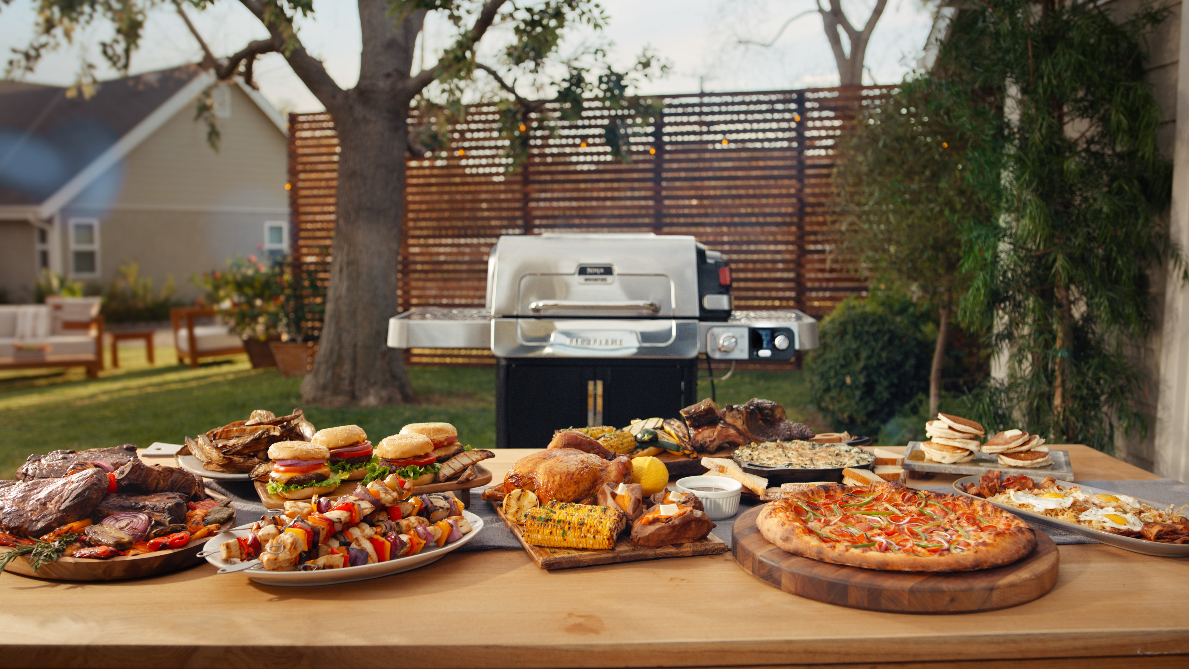 SharkNinja - Ninja Disrupts the Outdoor Grilling Market with