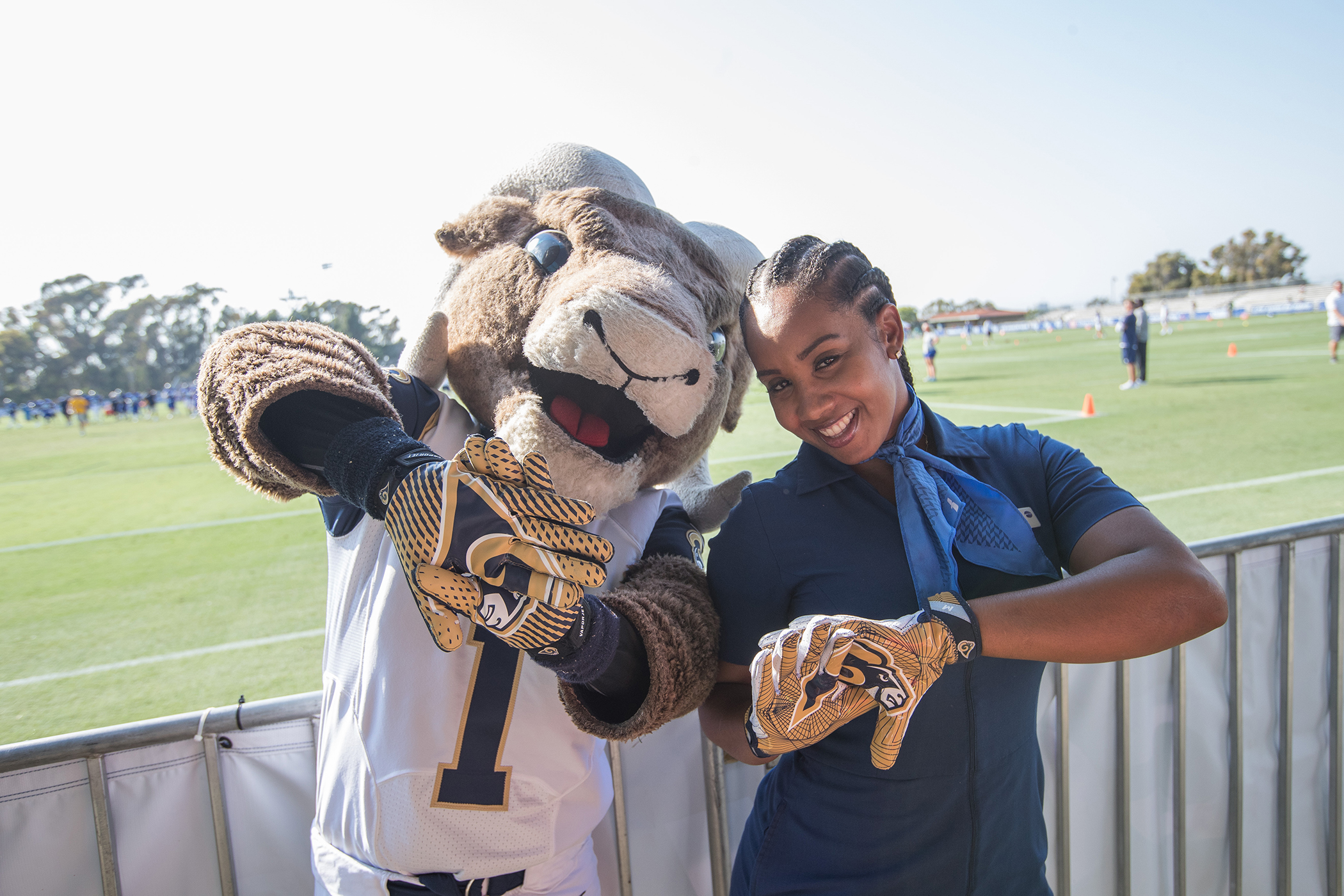 Rams Perks  American Airlines